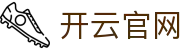 开云电脑版 - 开云（官方）网站 - KAIYUNSPORT 品牌全功能桌面终端